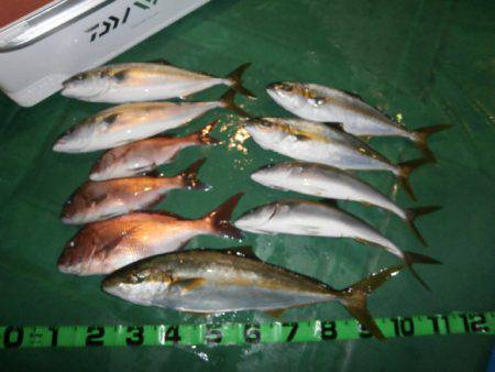 幸丸 釣果