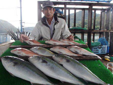 カタタのつり堀 釣果