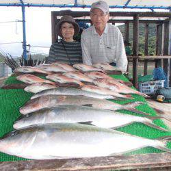 カタタのつり堀 釣果