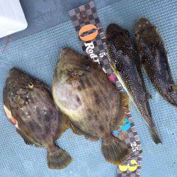 えさ政釣船店 釣果