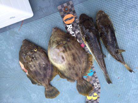 えさ政釣船店 釣果