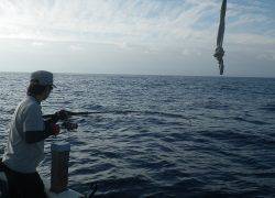 ことぶき丸 釣果