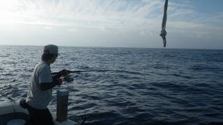 ことぶき丸 釣果