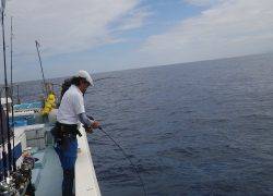 ことぶき丸 釣果
