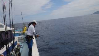 ことぶき丸 釣果