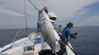 ことぶき丸 釣果