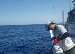 ことぶき丸 釣果