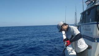 ことぶき丸 釣果