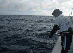 ことぶき丸 釣果