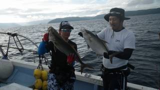 ことぶき丸 釣果