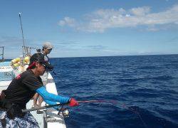ことぶき丸 釣果