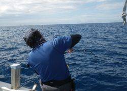 ことぶき丸 釣果