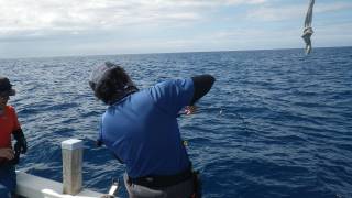 ことぶき丸 釣果