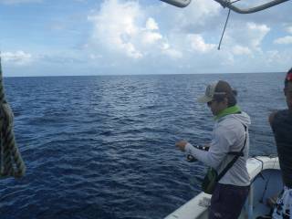 ことぶき丸 釣果