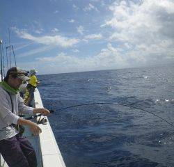 ことぶき丸 釣果