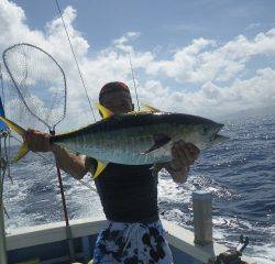 ことぶき丸 釣果