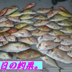 幸和丸 釣果