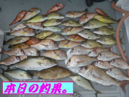 幸和丸 釣果