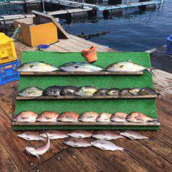 みうら海王 釣果