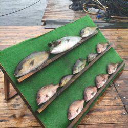 みうら海王 釣果