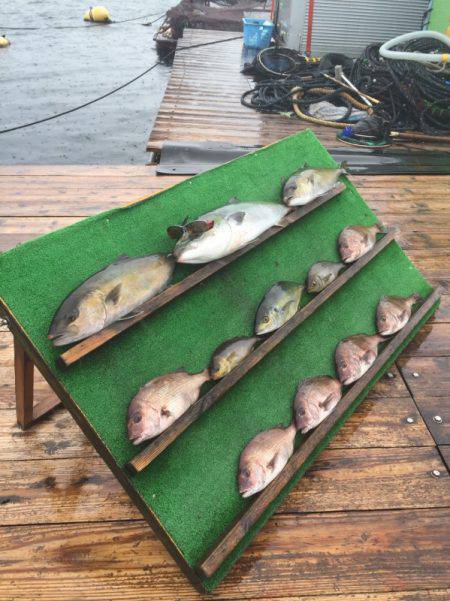 みうら海王 釣果