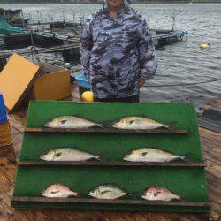 みうら海王 釣果