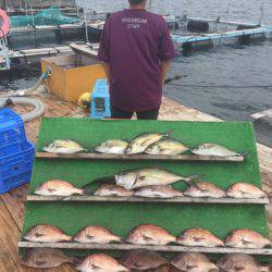 みうら海王 釣果