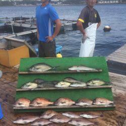みうら海王 釣果