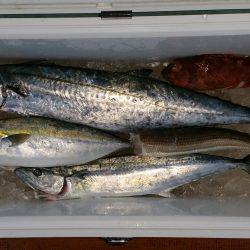 火遠理丸(ほおりまる) 釣果