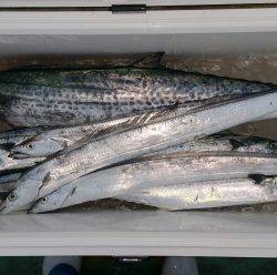 火遠理丸（ほおりまる） 釣果