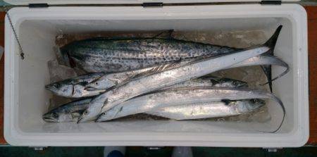 火遠理丸（ほおりまる） 釣果