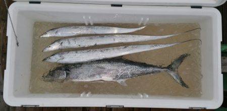 火遠理丸（ほおりまる） 釣果