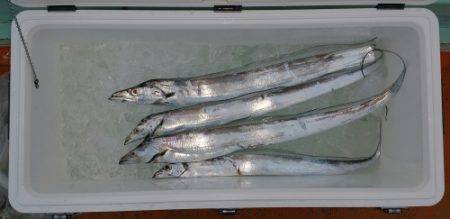 火遠理丸（ほおりまる） 釣果