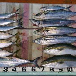 火遠理丸（ほおりまる） 釣果