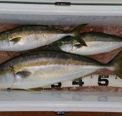 火遠理丸（ほおりまる） 釣果