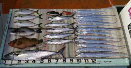 火遠理丸（ほおりまる） 釣果