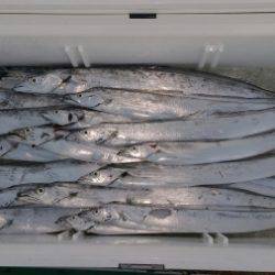 火遠理丸（ほおりまる） 釣果