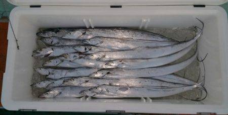 火遠理丸（ほおりまる） 釣果