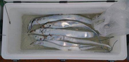 火遠理丸（ほおりまる） 釣果