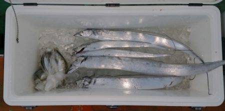 火遠理丸（ほおりまる） 釣果