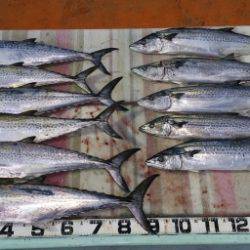 火遠理丸（ほおりまる） 釣果