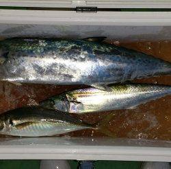 火遠理丸（ほおりまる） 釣果