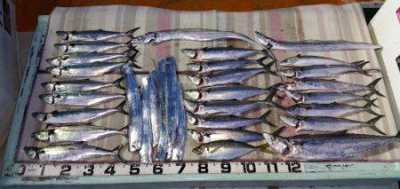 火遠理丸（ほおりまる） 釣果