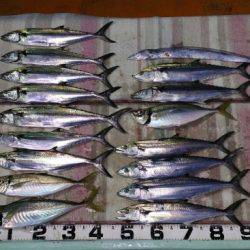 火遠理丸（ほおりまる） 釣果