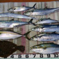 火遠理丸（ほおりまる） 釣果