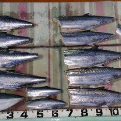 火遠理丸（ほおりまる） 釣果