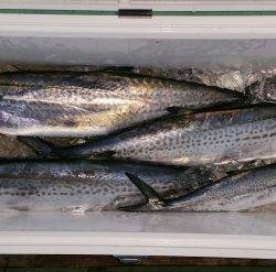 火遠理丸（ほおりまる） 釣果