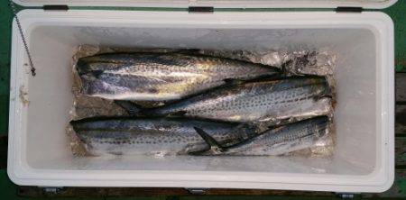 火遠理丸（ほおりまる） 釣果