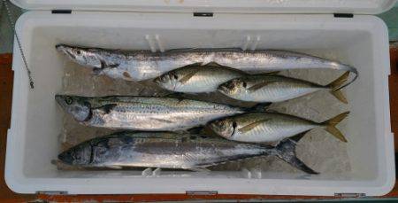 火遠理丸（ほおりまる） 釣果