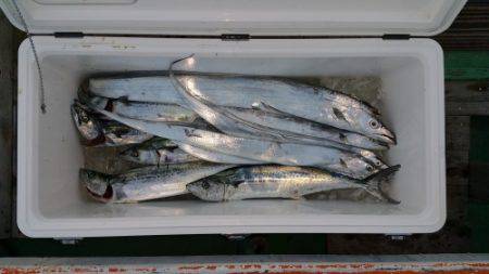 火遠理丸（ほおりまる） 釣果